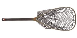 httpfishpondusa.comcdnshopproductsej-ra_2.jpgv1639111306