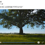 httpscdn.daejonilbo.comnewsphoto2025062206259_635195_5106.jpg