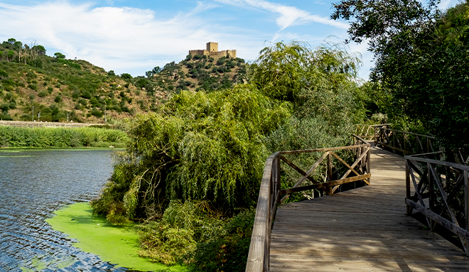 httpscdn.visitportugal.comsitesdefaultfilesVeraoInterior_660x383.jpg