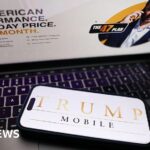 httpsichef.bbci_.co_.uknews1024branded_news131alive8e324230-4ae5-11f0-acc2-694ff49b214c.jpg