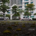 httpsmedia-cdn-v2.laodong.vnstoragenewsportal20256201527401Mua-Thoi-Tiet-Ha-Noi.jpgw800cropautoscaleboth