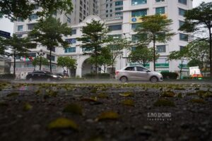 httpsmedia-cdn-v2.laodong.vnstoragenewsportal20256201527401Mua-Thoi-Tiet-Ha-Noi.jpgw800cropautoscaleboth