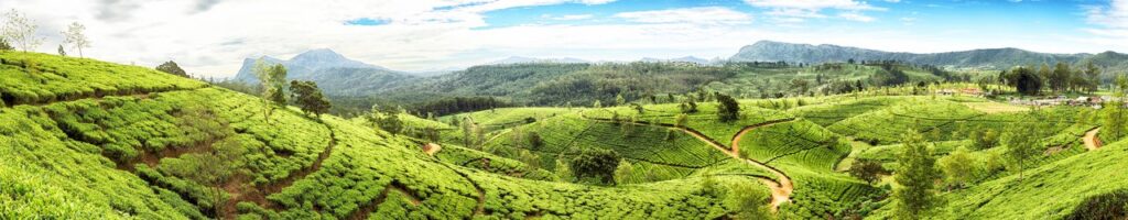 httpsmedia-cdn.tripadvisor.commediaphoto-b1280x2501533fb76sri-lanka.jpg
