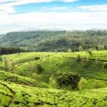 httpsmedia-cdn.tripadvisor.commediaphoto-b1280x2501533fb76sri-lanka.jpg