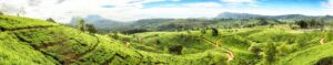 httpsmedia-cdn.tripadvisor.commediaphoto-b1280x2501533fb76sri-lanka.jpg