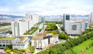 httpsnews.amc_.seoul_.krnewsimagescommonshareKor.jpg