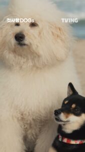 httpspbs.twimg_.comamplify_video_thumb1938531985120702465imgEGhOuFU9p7Bkg0cu.jpg