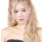 httpsupload.wikimedia.orgwikipediacommonsbb3Blackpink_RosC3A9_Rimowa_1.jpg