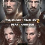 httpsupload.wikimedia.orgwikipediaen884UFC_316_poster.jpg