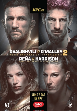 httpsupload.wikimedia.orgwikipediaen884UFC_316_poster.jpg
