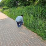 httpswww.korea_.krnewsWebresourcesattaches2025.060501.jpg