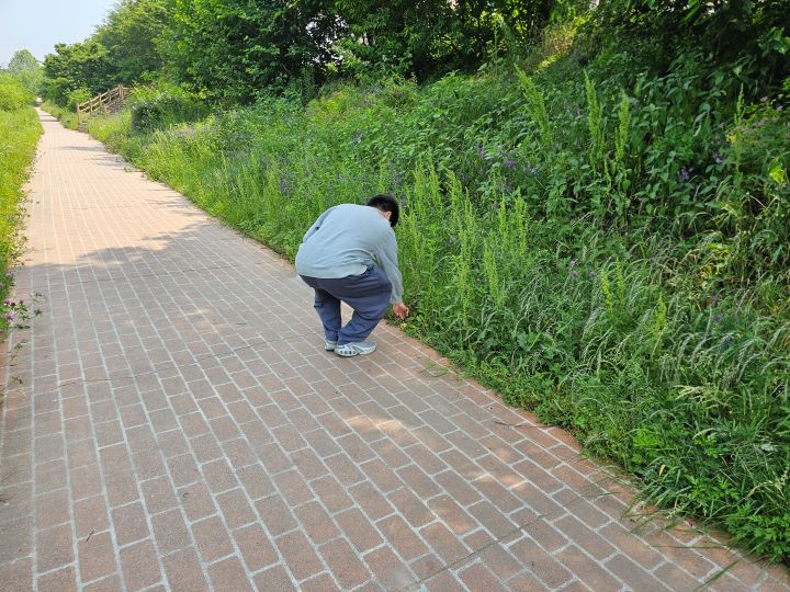 httpswww.korea_.krnewsWebresourcesattaches2025.060501.jpg