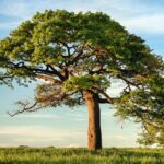 httpsimages.unsplash.comphoto-1502082553048-f009c37129b9autoformatfitcropw1350q80