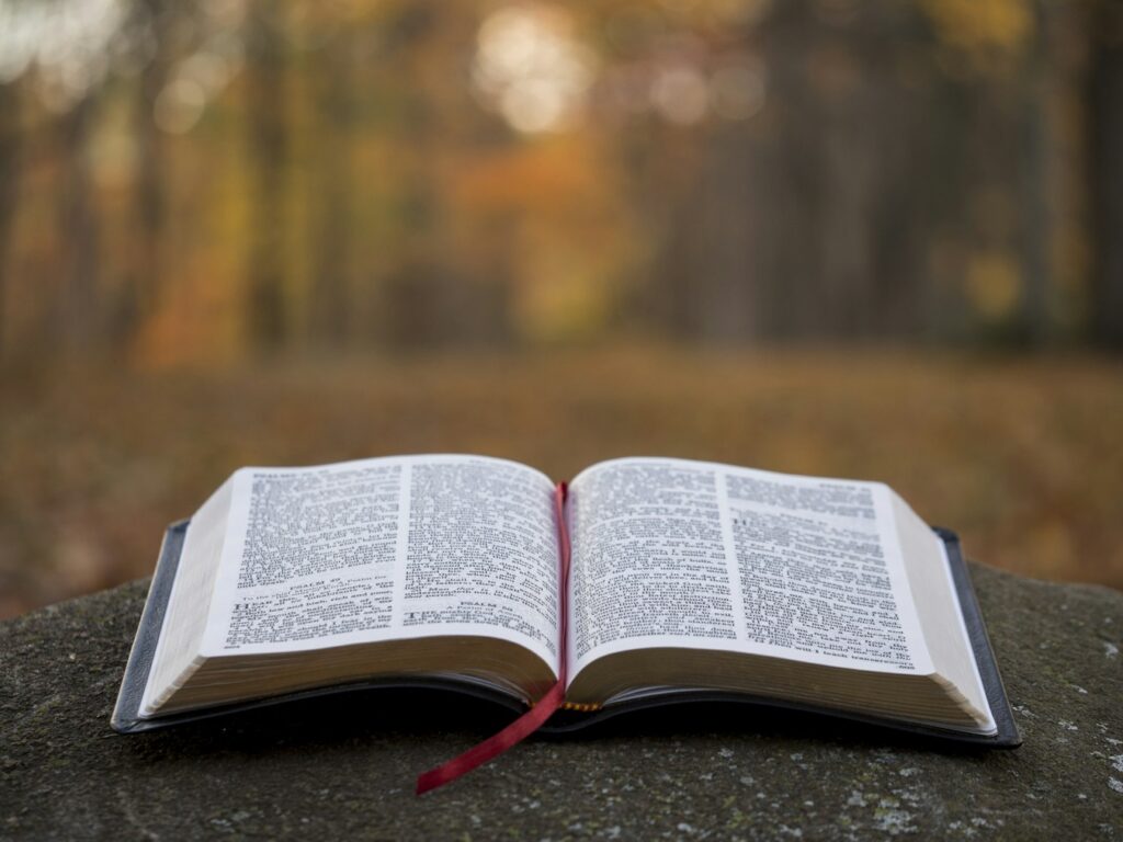 httpsimages.unsplash.comphoto-1509021436665-8f07dbf5bf1dixlibrb-4.0.3autoformatfitcropw1350q80