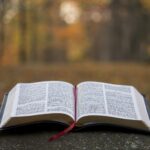 httpsimages.unsplash.comphoto-1509021436665-8f07dbf5bf1dixlibrb-4.0.3autoformatfitcropw1350q80