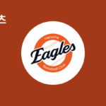 httpst1.daumcdn.netmediaimg-sectionsportsmetateamkbo390.png