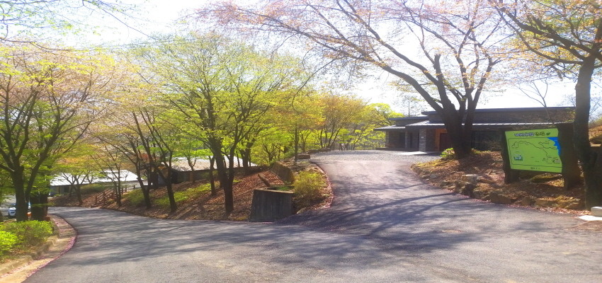 94905c49-5bd6-4d5b-abe6-2a7295ff906c