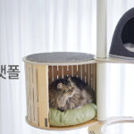 share-image-1-cec6fee25e2d3d73f05edcf358a810d2