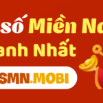 xsmn-mobi-banner