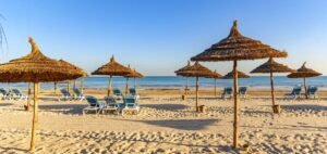 0104p12000iq5zygr1119_D_1180_558