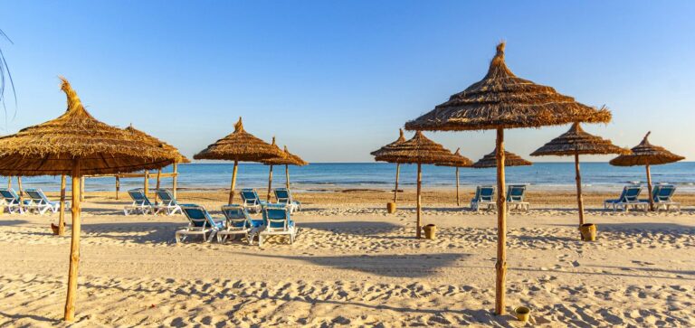 0104p12000iq5zygr1119_D_1180_558