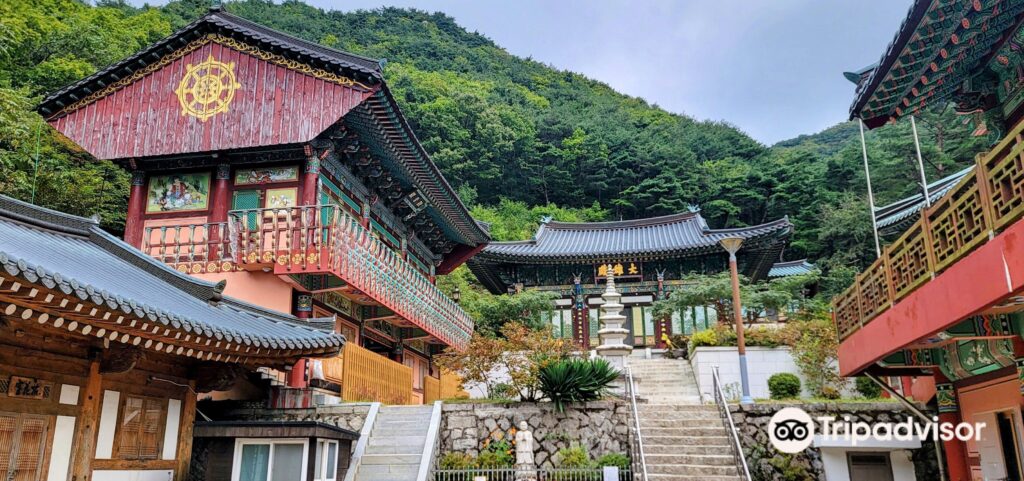 0ww1u12000coyidojA488