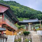 0ww1u12000coyidojA488