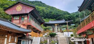 0ww1u12000coyidojA488