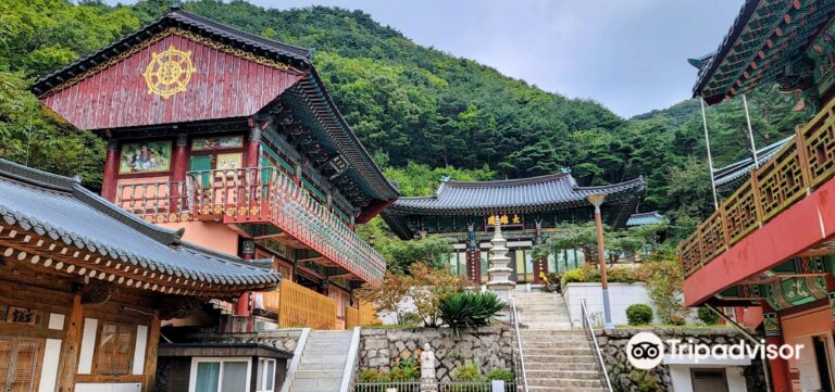 0ww1u12000coyidojA488