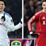 1765009973791_1-leeds-liverpool-anh-1765008580899570961654-0-0-564-903-crop-17650085835251678102088