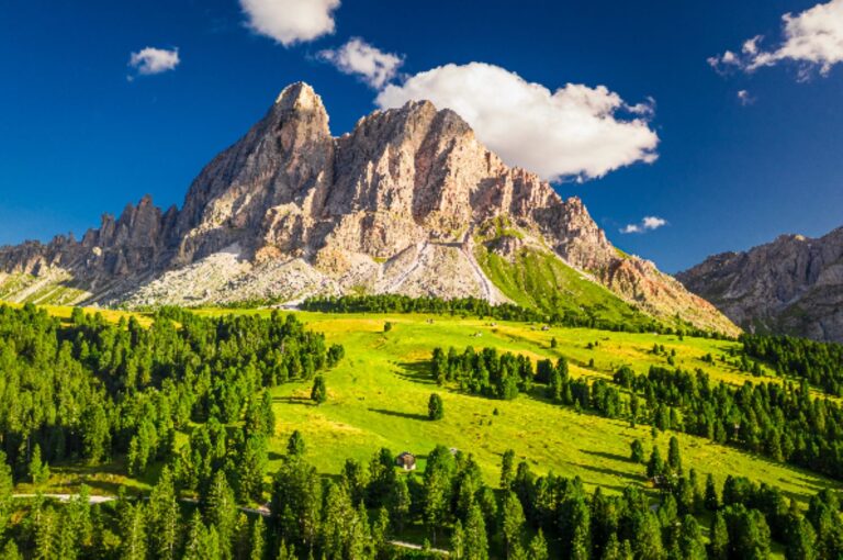 202505271312274AA34E8C676F4D42950E84F8C2AAE048