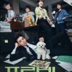 2025120511377244629_1