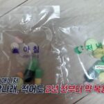 202512221405270334_t