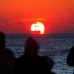 20261231103701778001