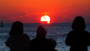 20261231103701778001