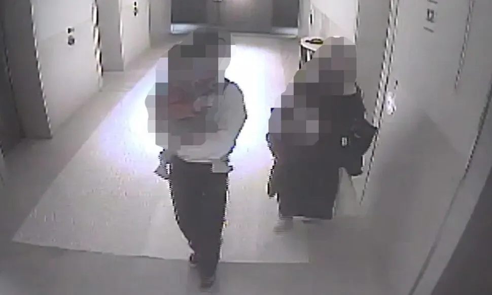 53_17648122756705_20251204500983