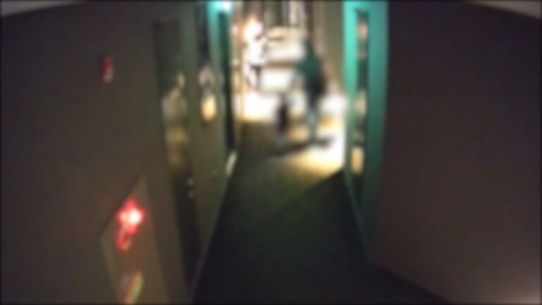 MCM20251125000015038_P4-1