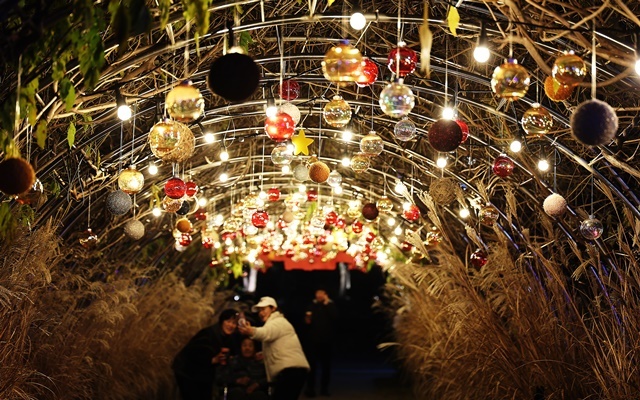 img_20251205113445_eb9a4994-1