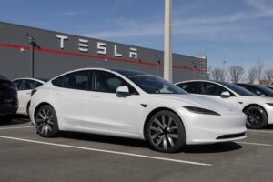 1769045336-Tesla