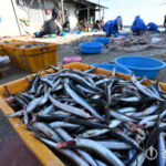 2026011514050266150_m