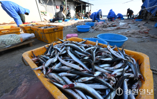 2026011514050266150_m