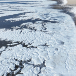 286562e0-a0dd-401f-bace-da46bd1f866e