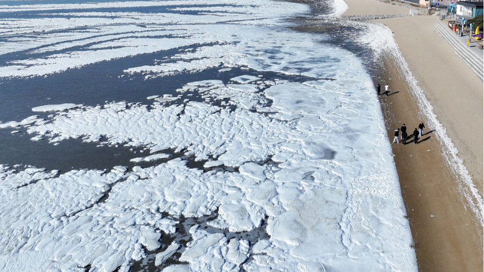 286562e0-a0dd-401f-bace-da46bd1f866e