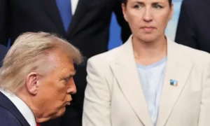 53_17676848428919_20260106502972