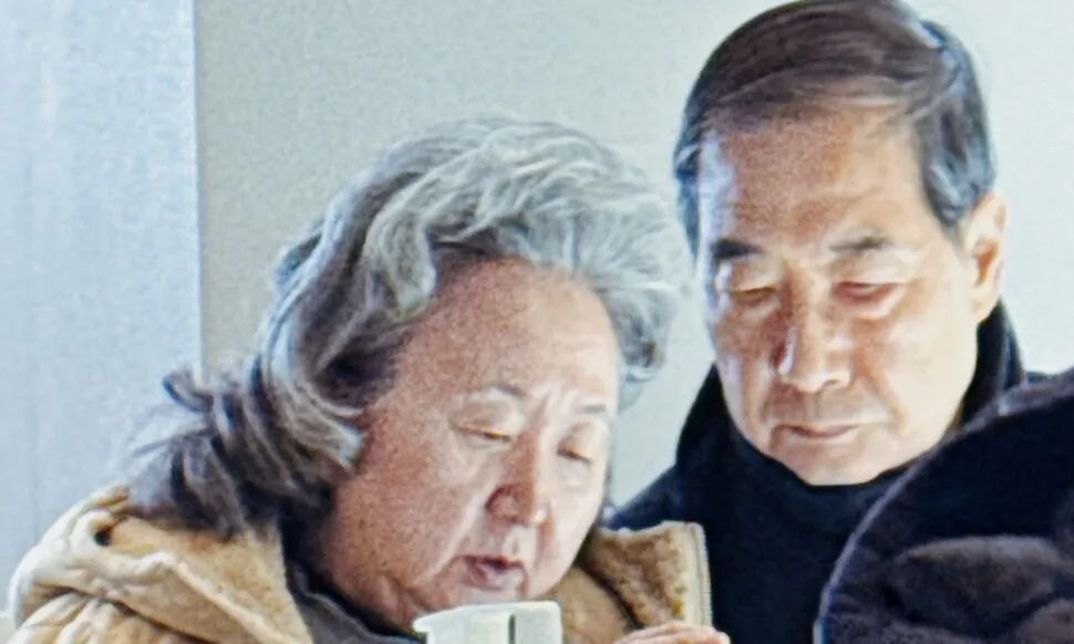 53_17688722261789_20260120501074