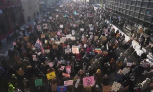 53_17693926056709_20260126501275