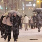 65899_111860_1539_v150