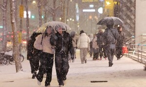 65899_111860_1539_v150