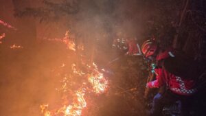 9608178e-3b81-4850-a6c5-f9237899d1a1