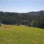 AKR20260105129200546_05_i_P4